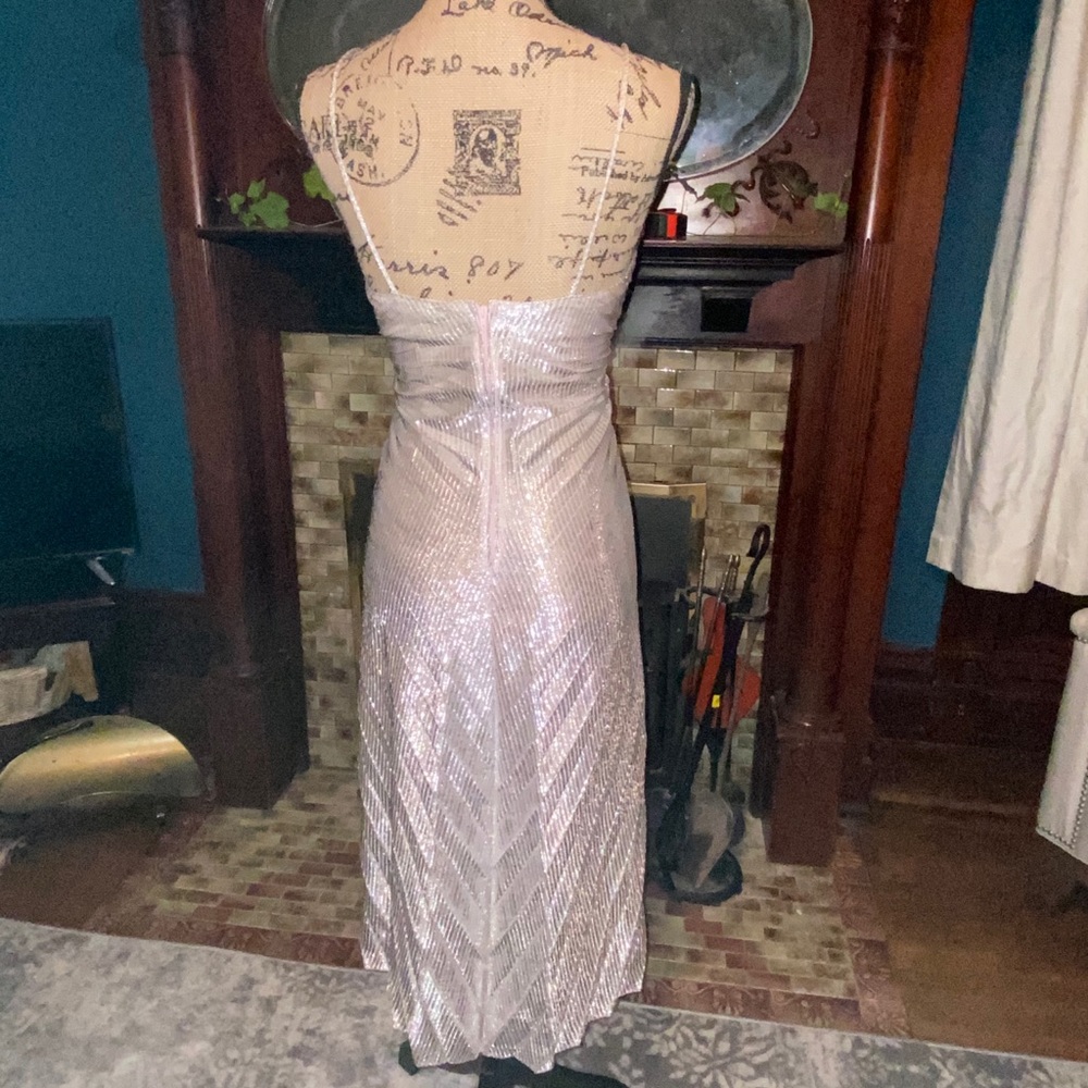 Gold Lame dress.